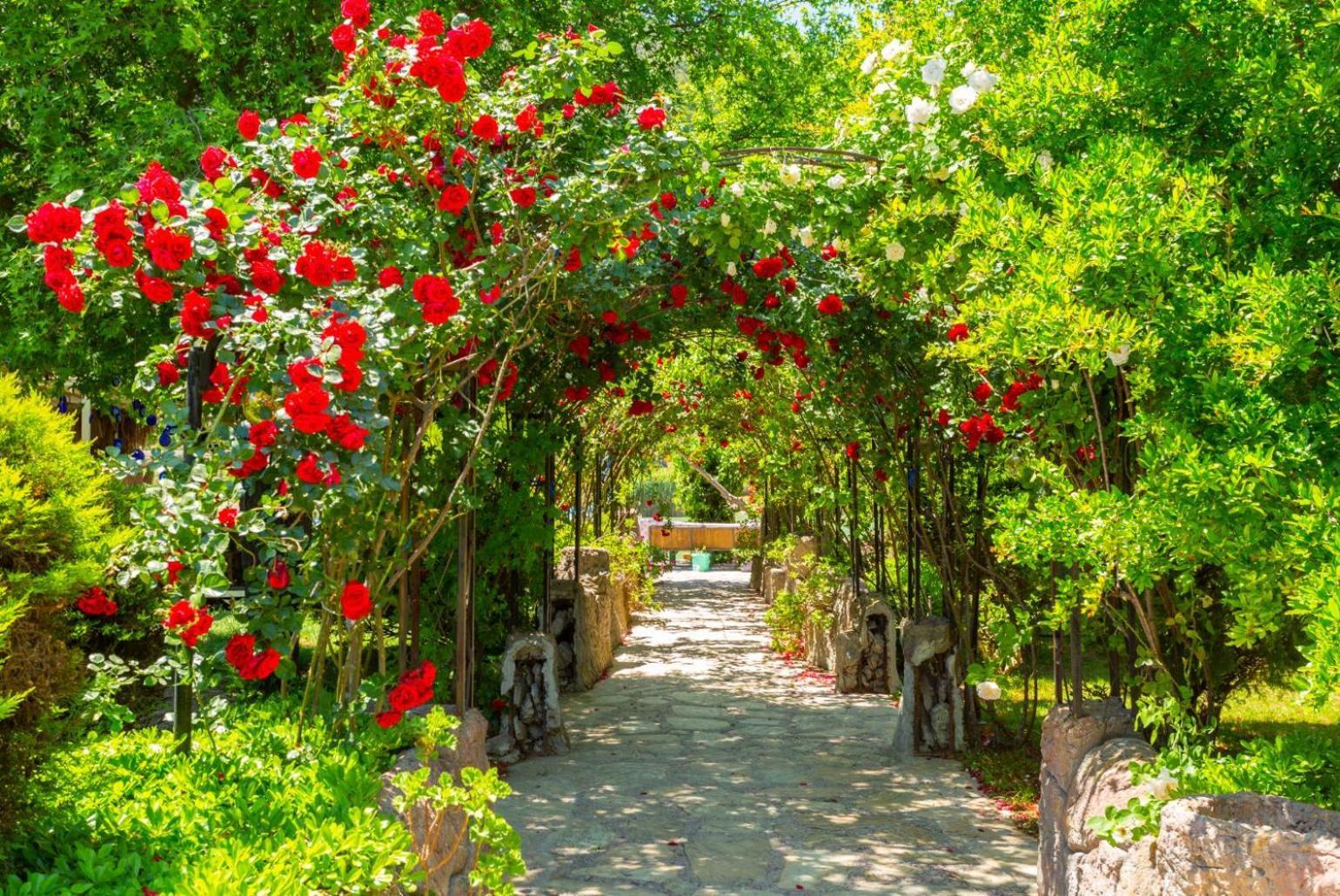 Villa Ayla Paradise Dalyan Buitenkant foto